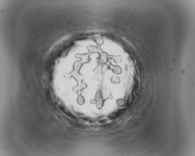 X0000086091351200704202206