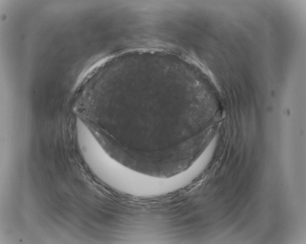 X0000086091352200704202206