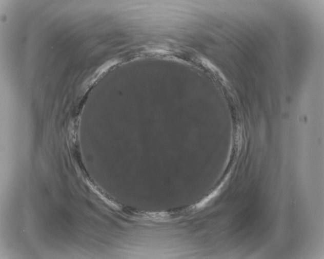 X0000086091353200704202206