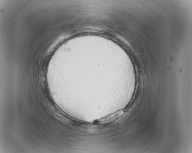 X0000086091355200704202206