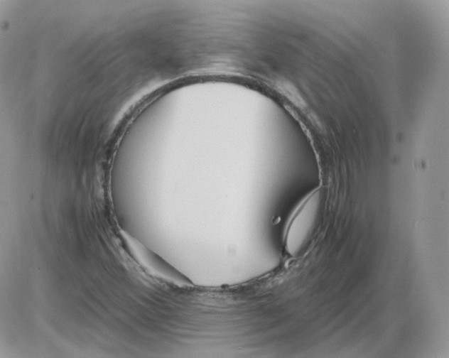 X0000086091356200704202206