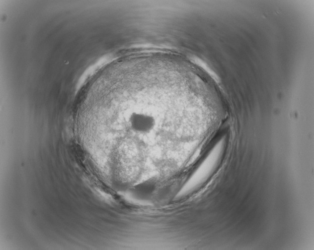 X0000086091357200704202206