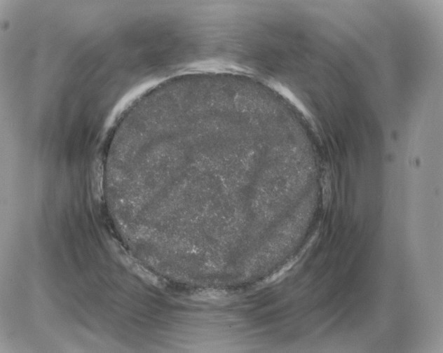 X0000086091358200704202206