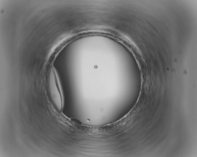 X0000086091360200704202206