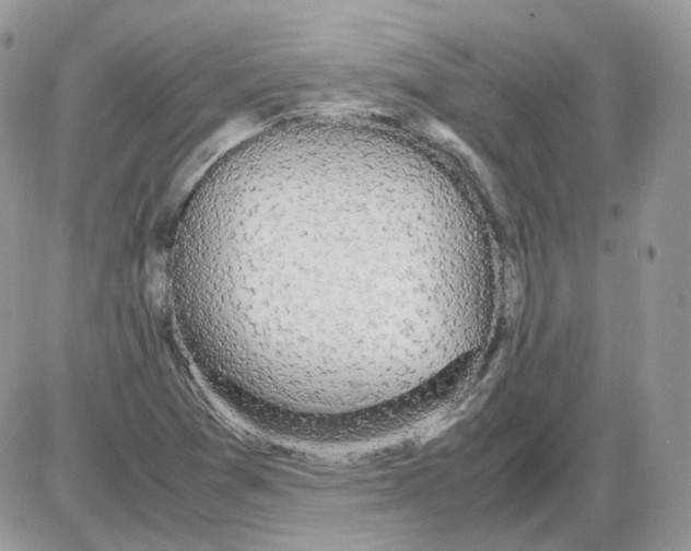 X0000086091361200704202206