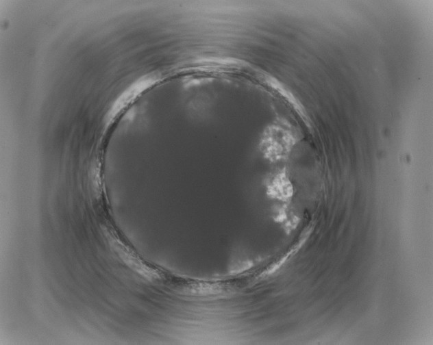 X0000086091362200704202206