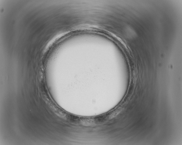 X0000086091363200704202206