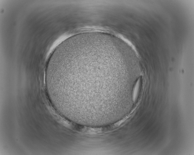 X0000086091365200704202205