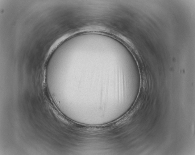 X0000086091366200704202205