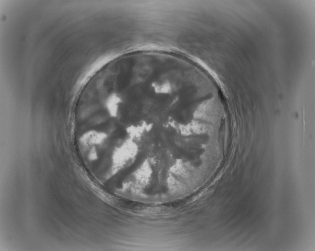 X0000086091367200704202205