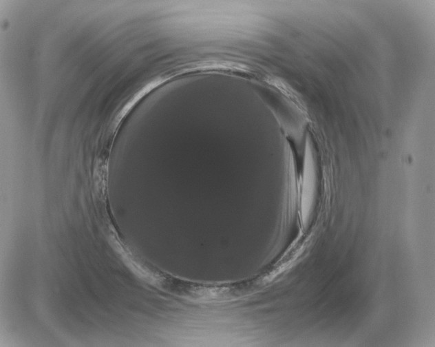 X0000086091369200704202205