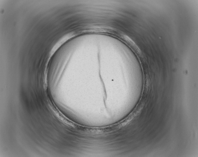 X0000086091370200704202205