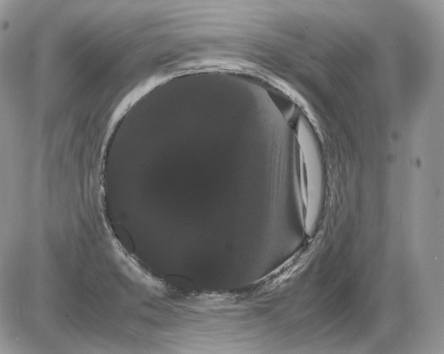 X0000086091373200704202205