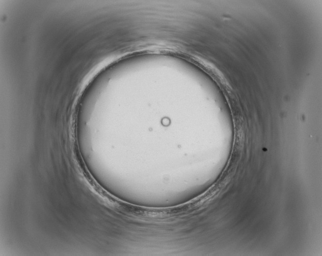 X0000086091375200704202205