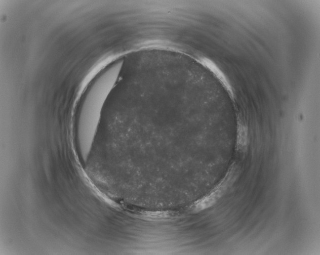 X0000086091376200704202205