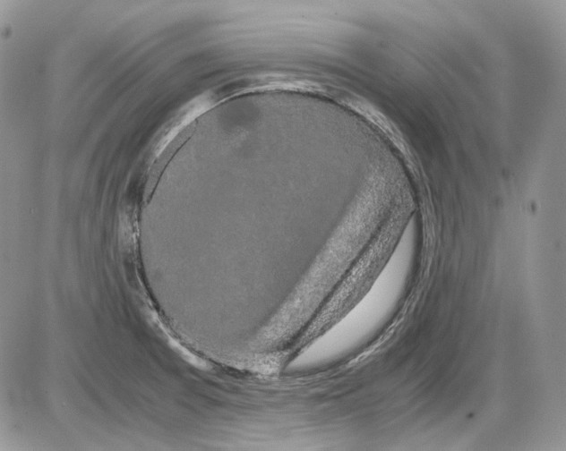 X0000086091377200704202205