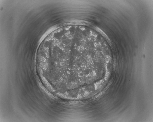 X0000086091378200704202205