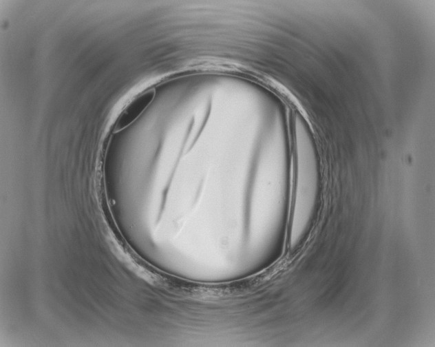 X0000086091379200704202205