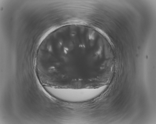 X0000086091383200704202205