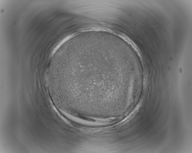 X0000086091385200704202205