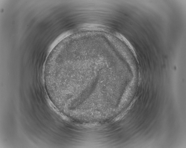 X0000086091386200704202205