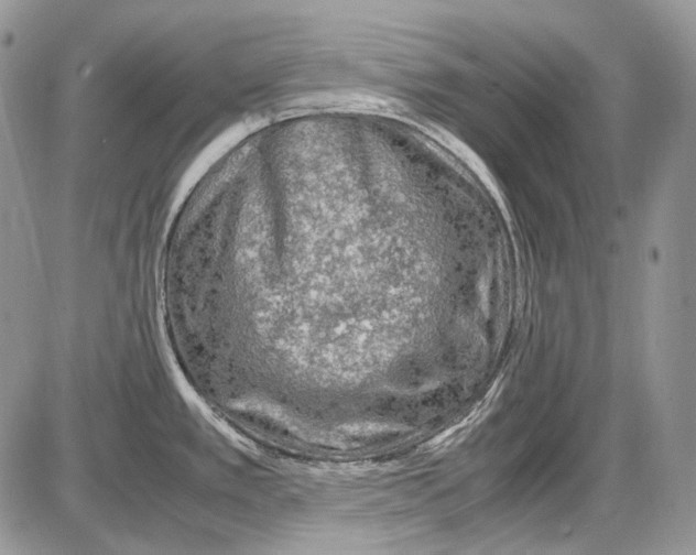 X0000086091389200704202205