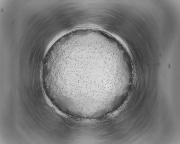 X0000086091390200704202205