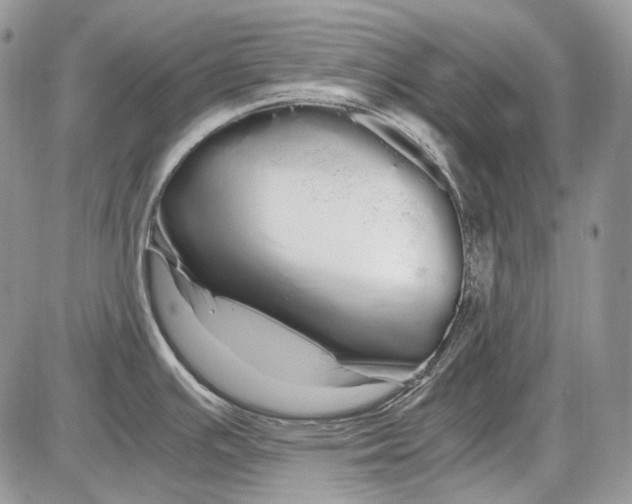 X0000086091391200704202205