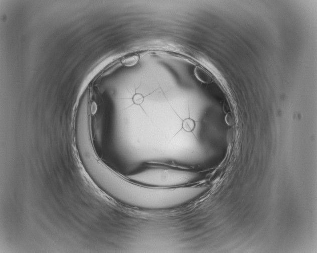 X0000086091392200704202205