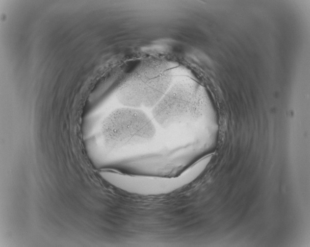 X0000086091393200704202204