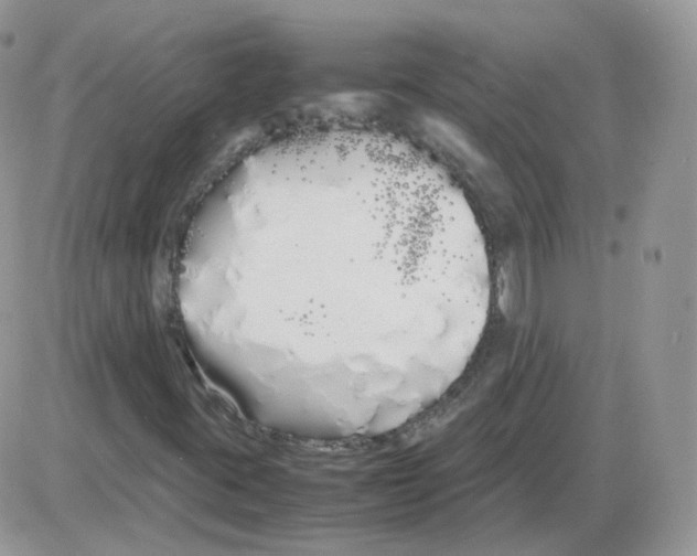 X0000086091395200704202204