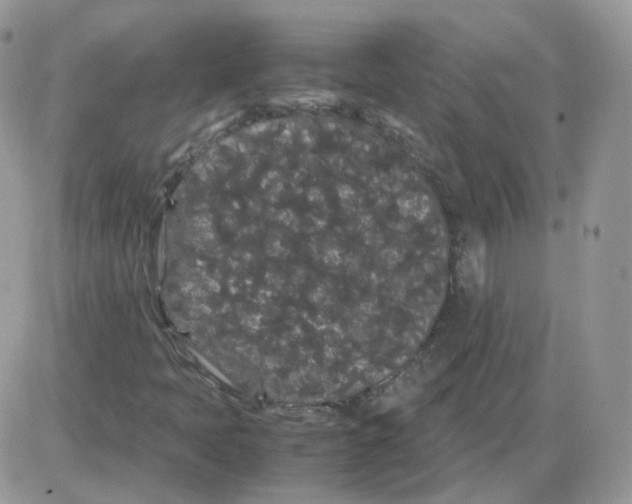 X0000086091397200704202204