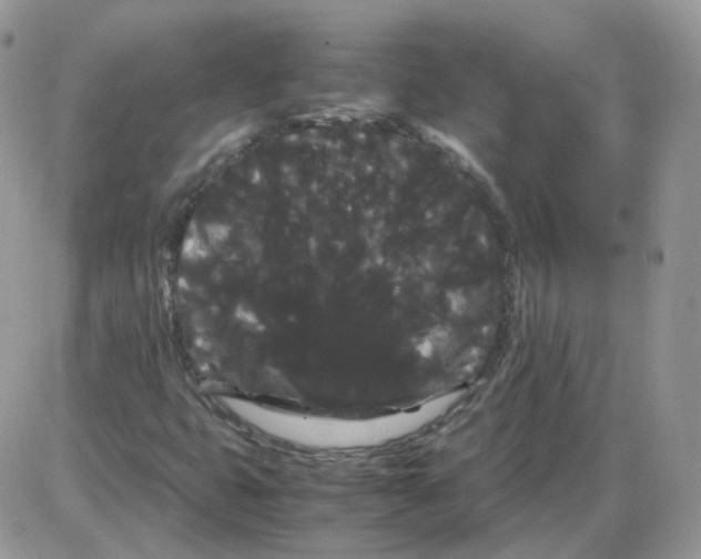 X0000086091399200704202204