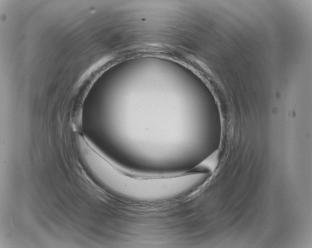 X0000086091402200704202204