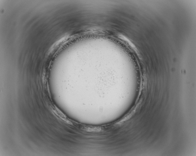 X0000086091403200704202204