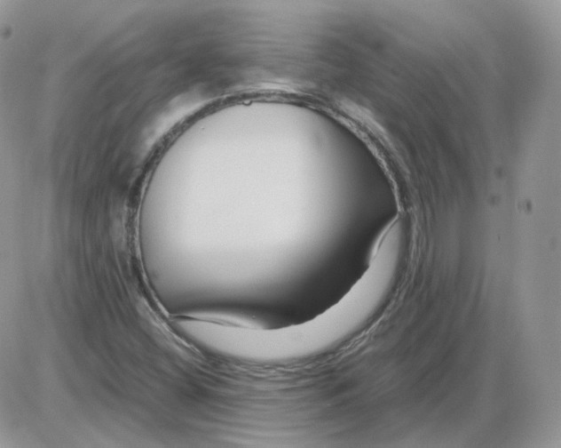 X0000086091404200704202204