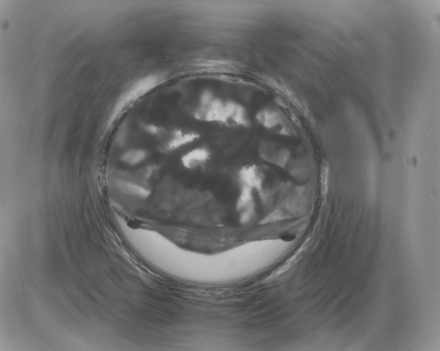 X0000086091405200704202204