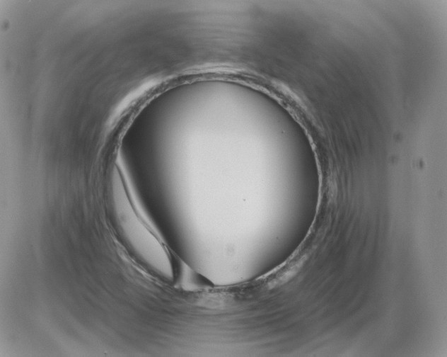 X0000086091406200704202204