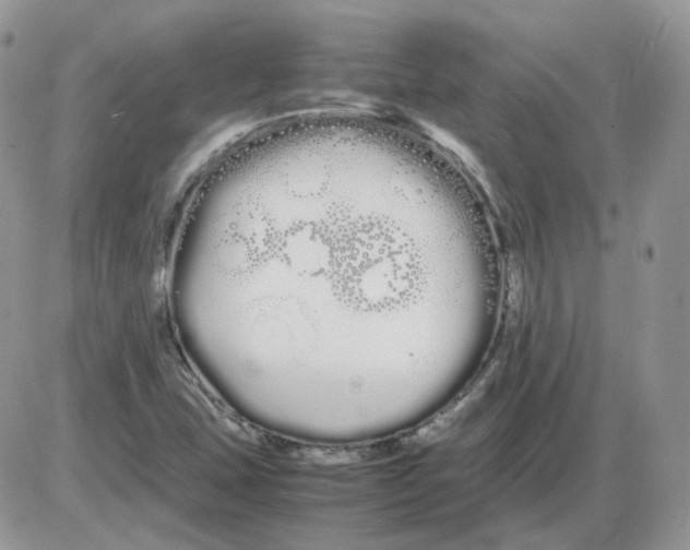 X0000086091407200704202204