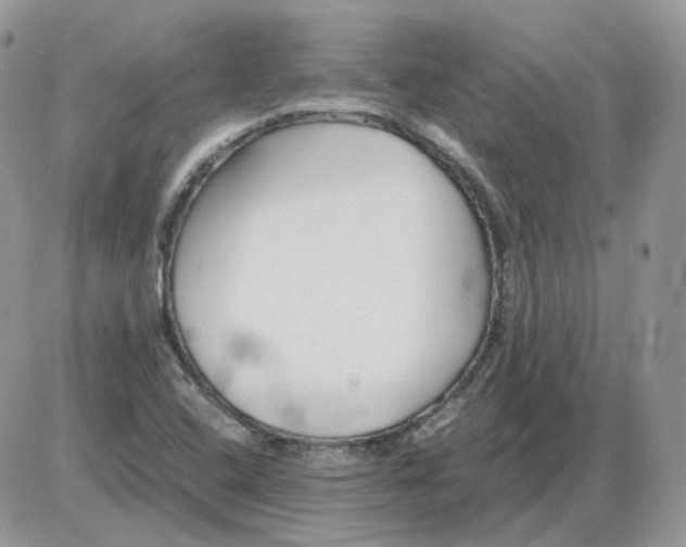 X0000086091408200704202205