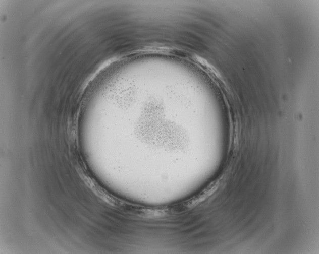 X0000086091409200704202205