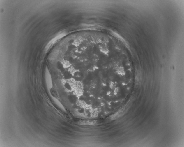 X0000086091411200704202205