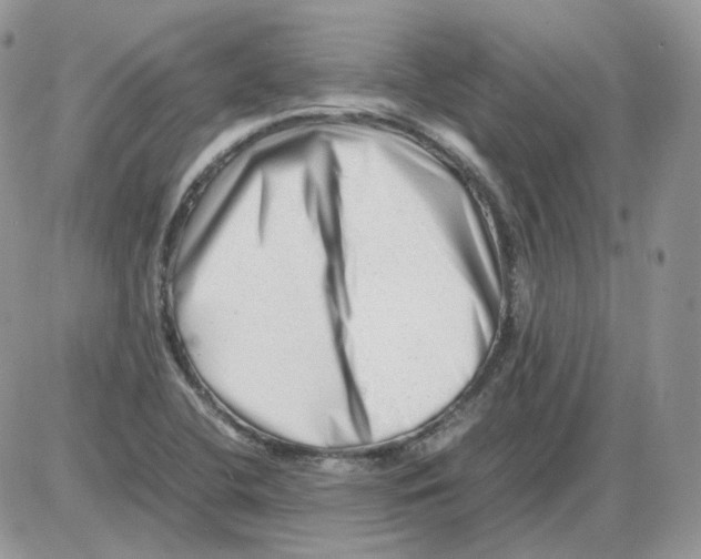 X0000086091412200704202205