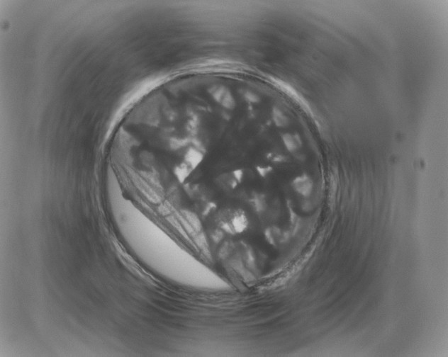 X0000086091413200704202205