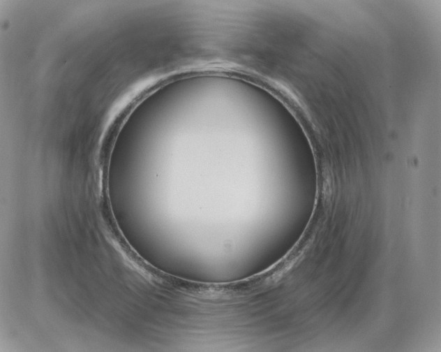 X0000086091414200704202205