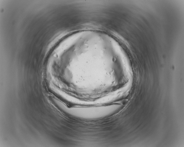 X0000086091415200704202205