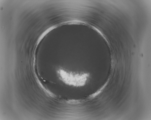 X0000086091418200704202205