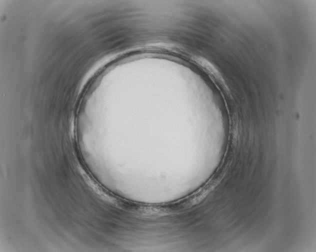 X0000086091420200704202205