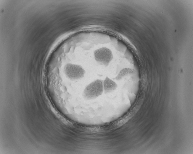 X0000086091421200704202205