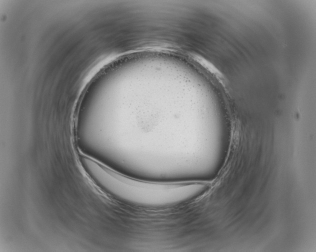 X0000086091423200704202205